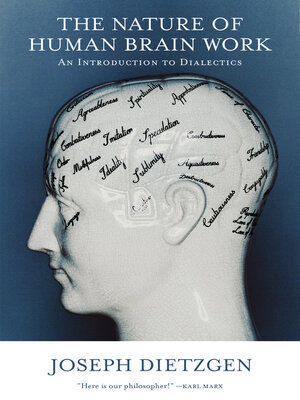 cover image of Nature of Human Brain Work